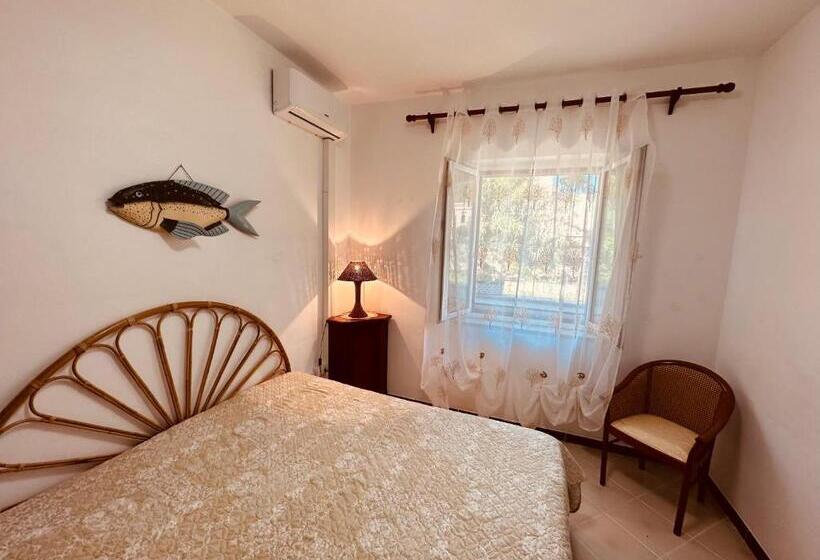 بنسيون Tritone   Immobilevante