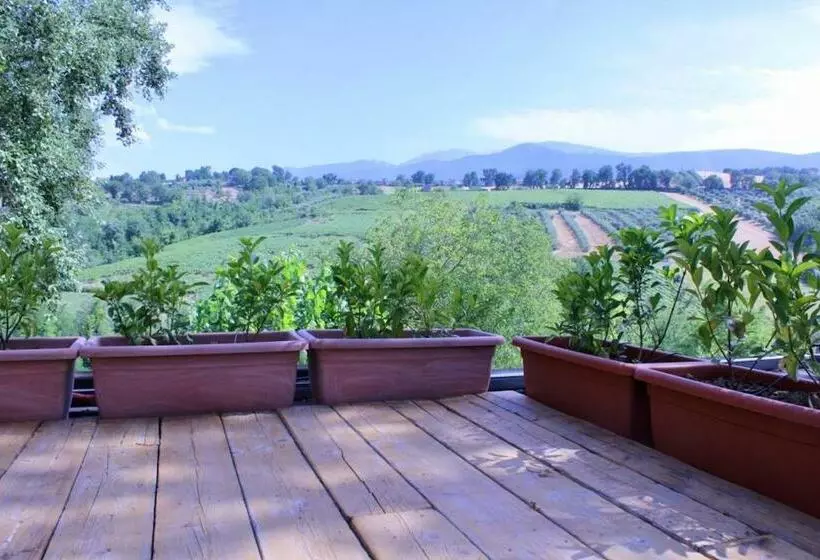 Aamiaismajoitus (B&B) Frontemaja