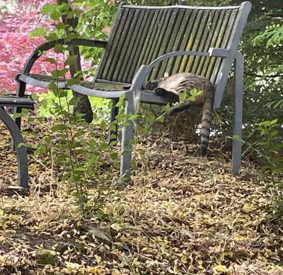 Hotelli Agriturismo Ai Gradoni