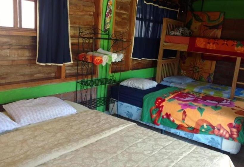فندق صغير Hostal Cabañas Ave Maria