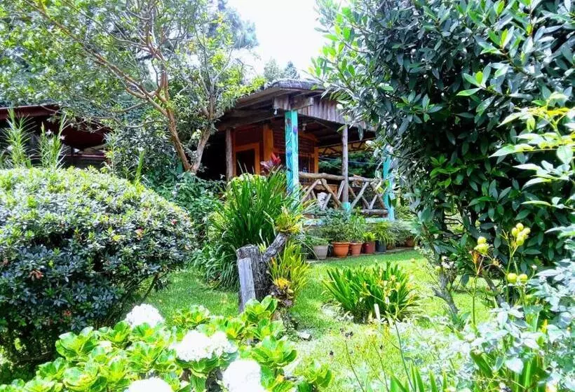 Retkeilymaja Hostal Cabañas Ave Maria