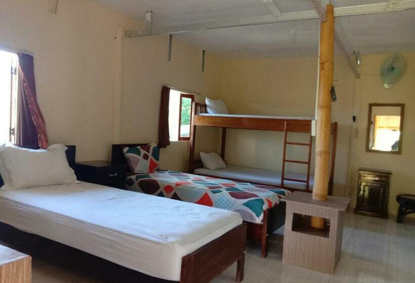 הוסטל Tarsan Homestay