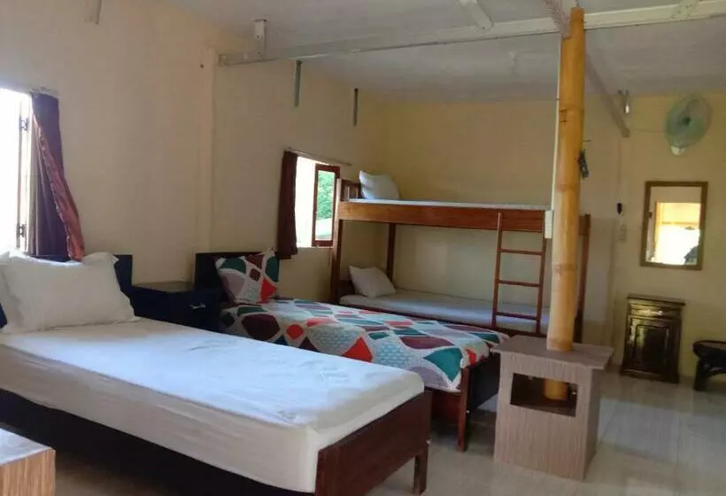 هاستل Tarsan Homestay