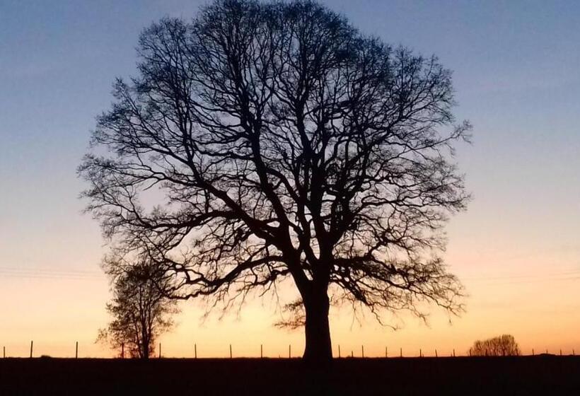 مبيت وإفطار Le Thirifays