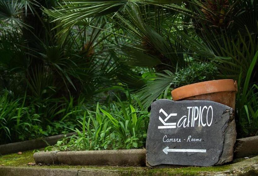 Пансион Atipico