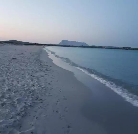 پانسیون Villa Dettori