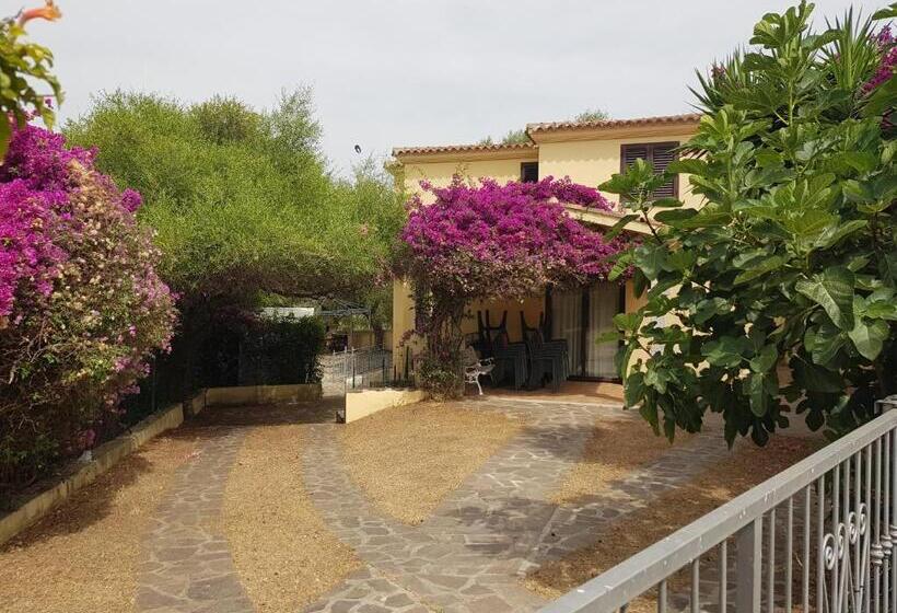 بنسيون Villa Dettori