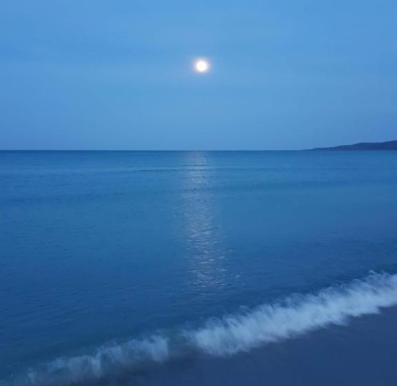 펜션 Villa Dettori