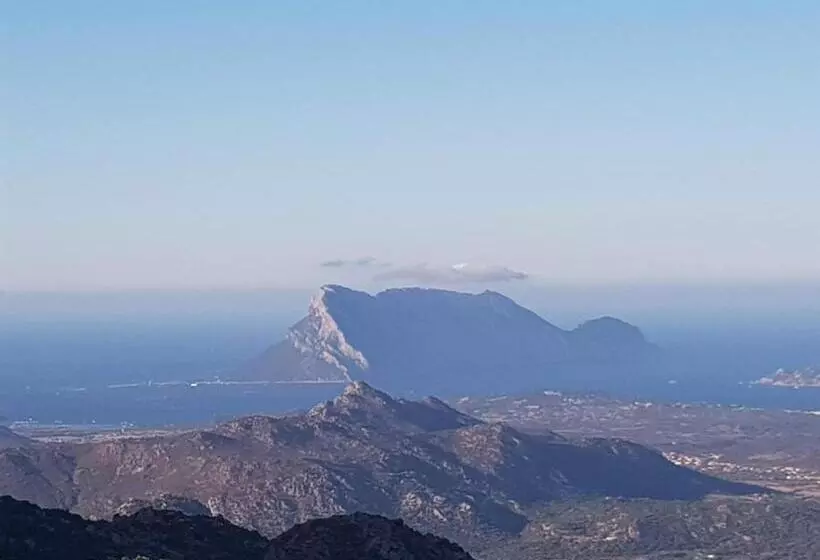 پانسیون Villa Dettori