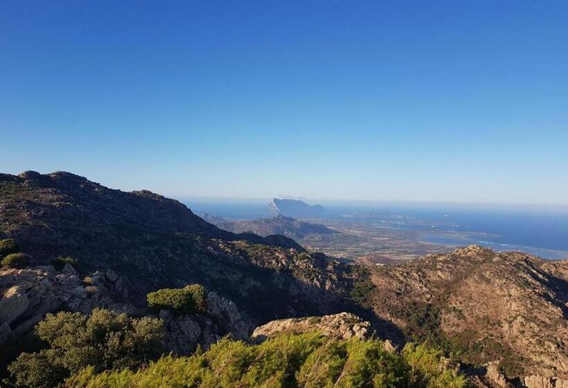 펜션 Villa Dettori