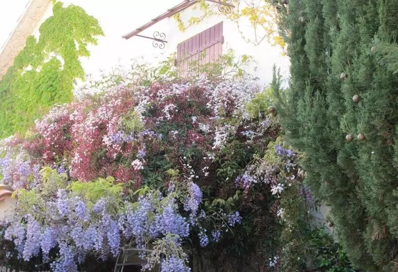 Aamiaismajoitus (B&B) Casa Tena Sorède