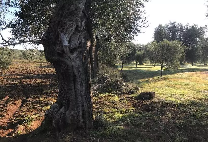 Aamiaismajoitus (B&B) Li Caseddi Ti Lu Cesarinu