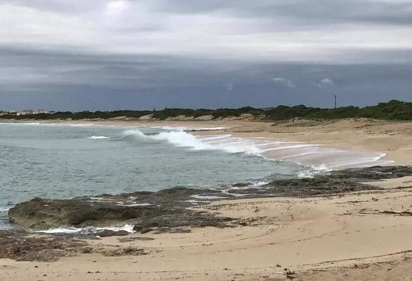 Aamiaismajoitus (B&B) Li Caseddi Ti Lu Cesarinu