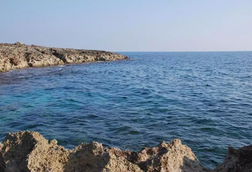 Aamiaismajoitus (B&B) Li Caseddi Ti Lu Cesarinu