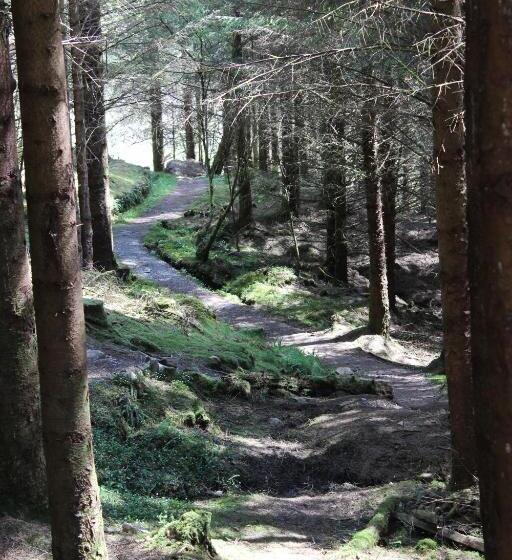 تختخواب و صبحانه Lothlorien