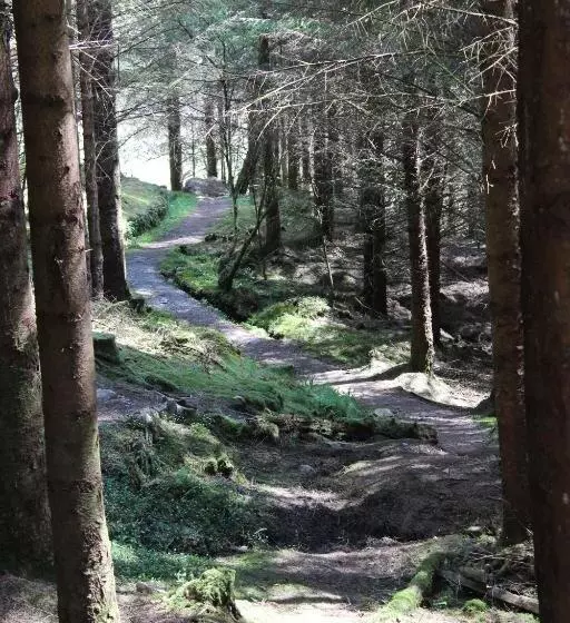 Aamiaismajoitus (B&B) Lothlorien