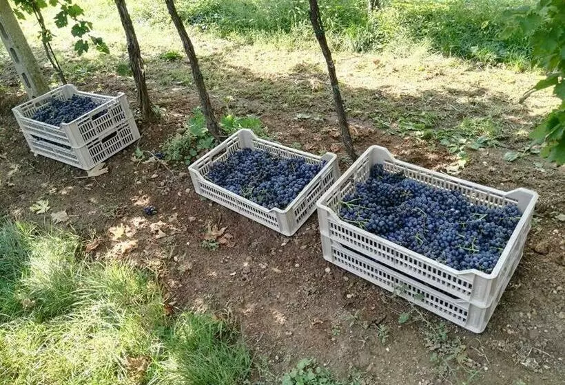 Hotelli Agriturismo El Crear