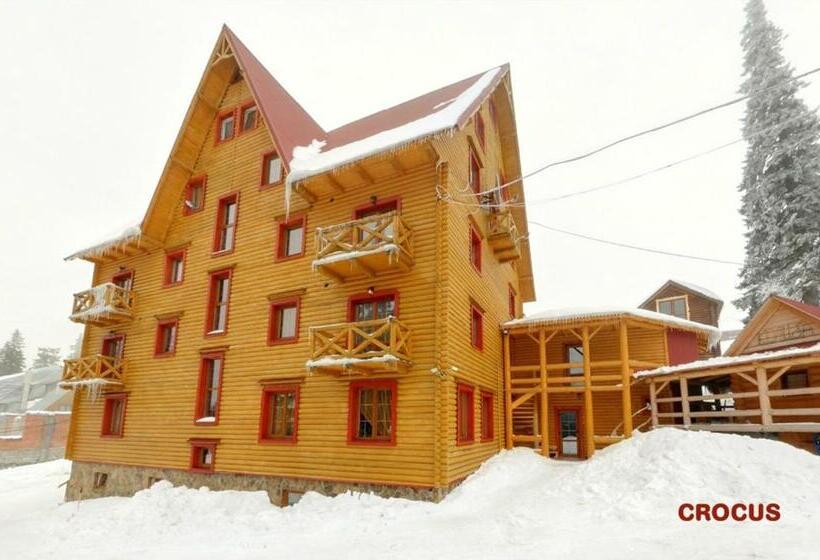 Hotel Crocus