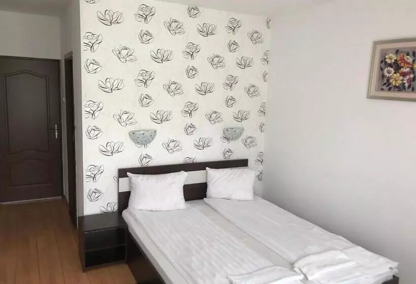 ペンション Casa Adrian