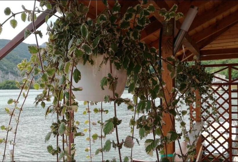 Пансион Casa Adrian