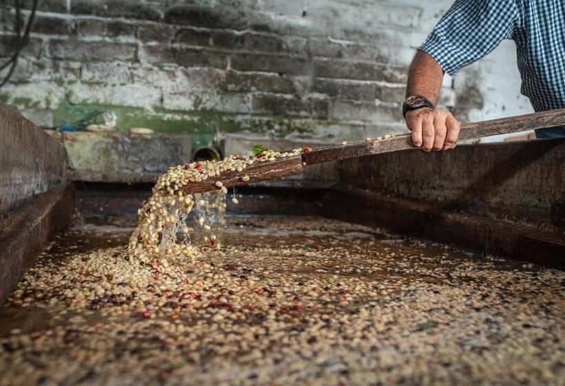 Finca Hotel Villa Clara