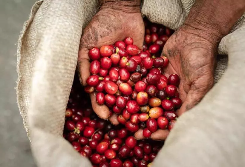 Finca Hotel Villa Clara