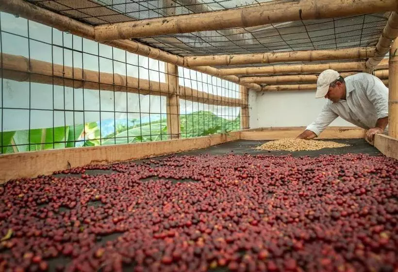 Finca Hotel Villa Clara