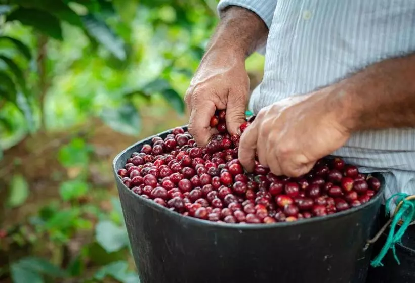Finca Hotel Villa Clara