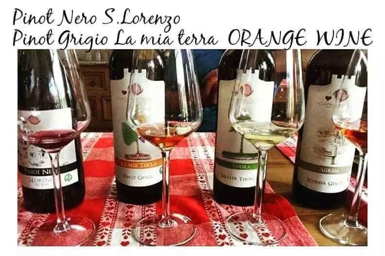ホテル Agritur Tenno Cantina Bio Natura