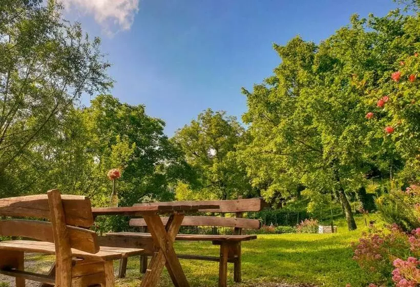 ホテル Agriturismo Il Falco Del Monte Fumaiolo