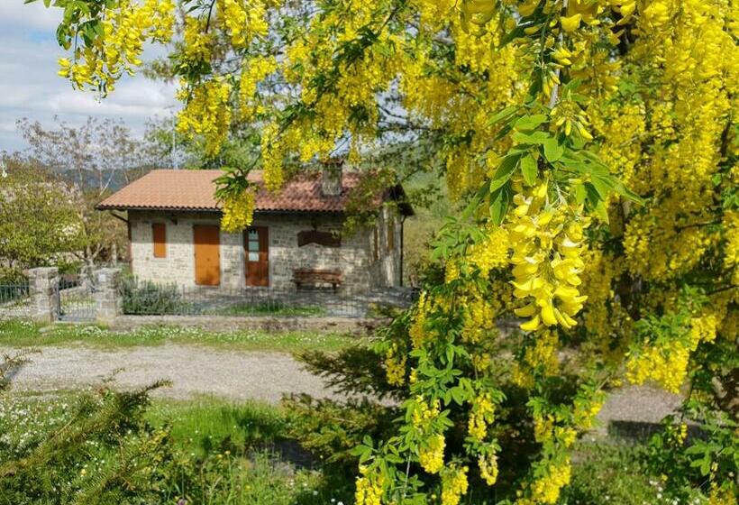 בית מלון כפרי Agriturismo Il Falco Del Monte Fumaiolo