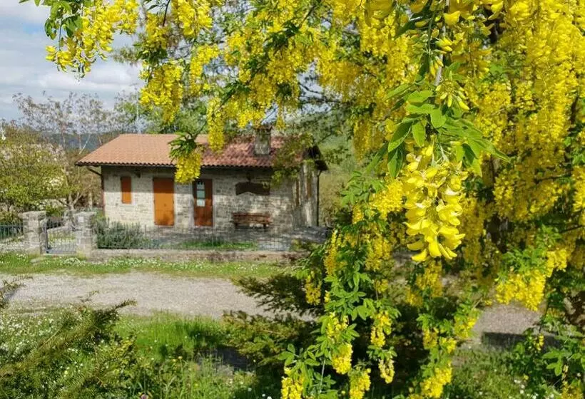 ホテル Agriturismo Il Falco Del Monte Fumaiolo