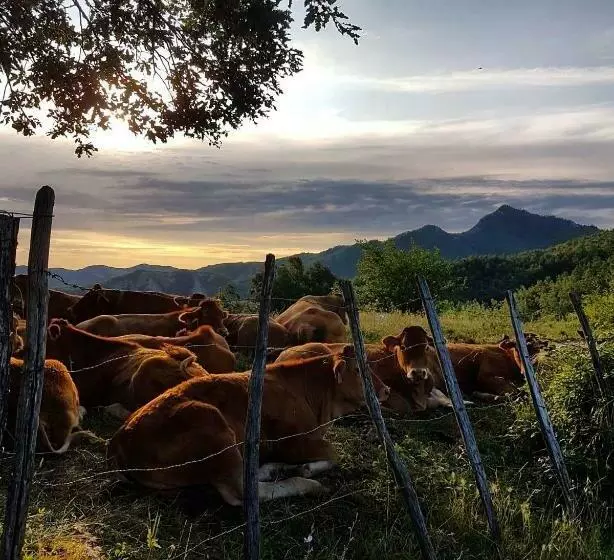 ホテル Agriturismo Il Falco Del Monte Fumaiolo
