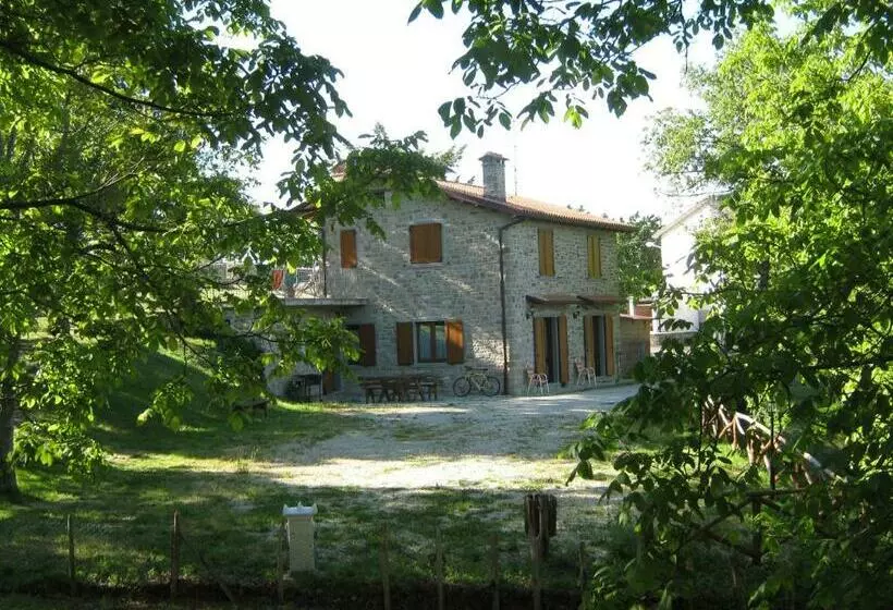 ホテル Agriturismo Il Falco Del Monte Fumaiolo