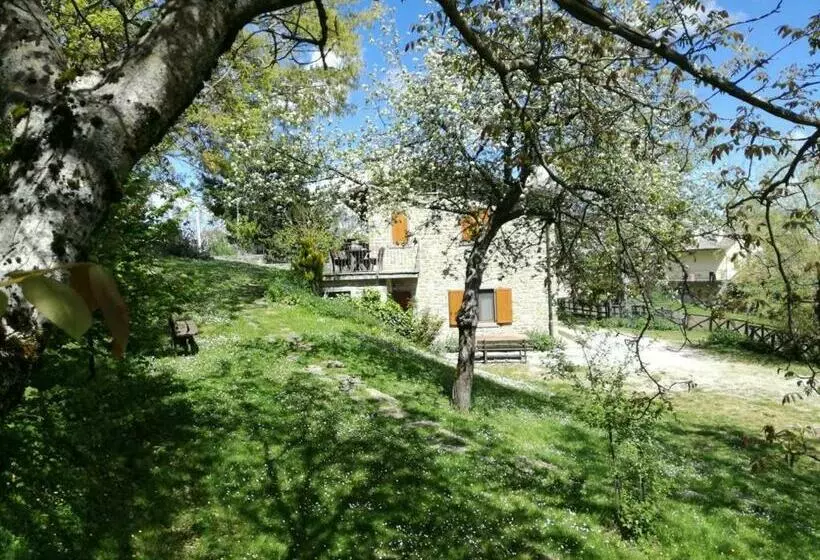 ホテル Agriturismo Il Falco Del Monte Fumaiolo