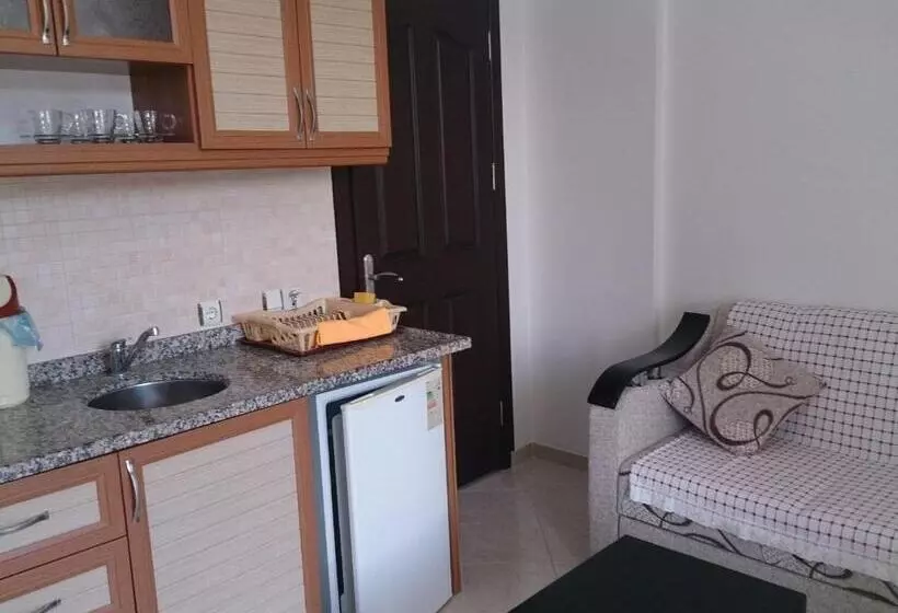 Oğuz Apart