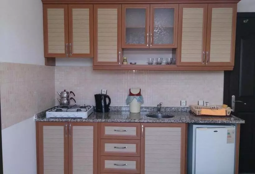 Oğuz Apart