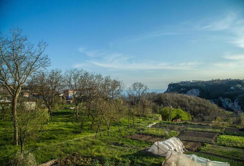 Pensjonat Da Zia Adele