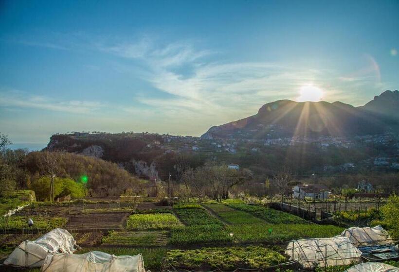 Pensjonat Da Zia Adele