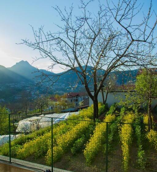 Pensjonat Da Zia Adele