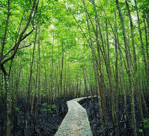 Resort Otel Calm At Bangphat