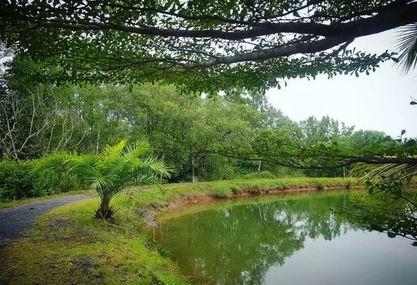 Lomakeskus Calm At Bangphat