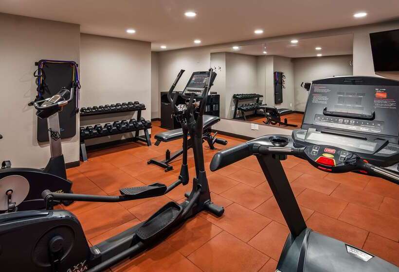 Отель Best Western Dewitt