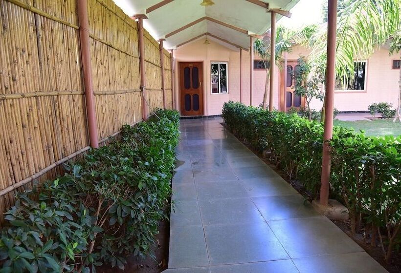 Hotel Master Paradise