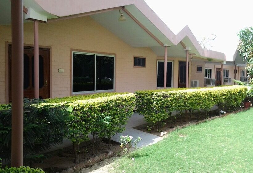 Hotel Master Paradise