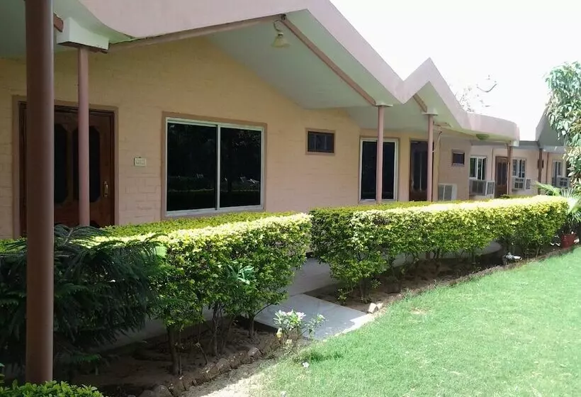 Hôtel Master Paradise