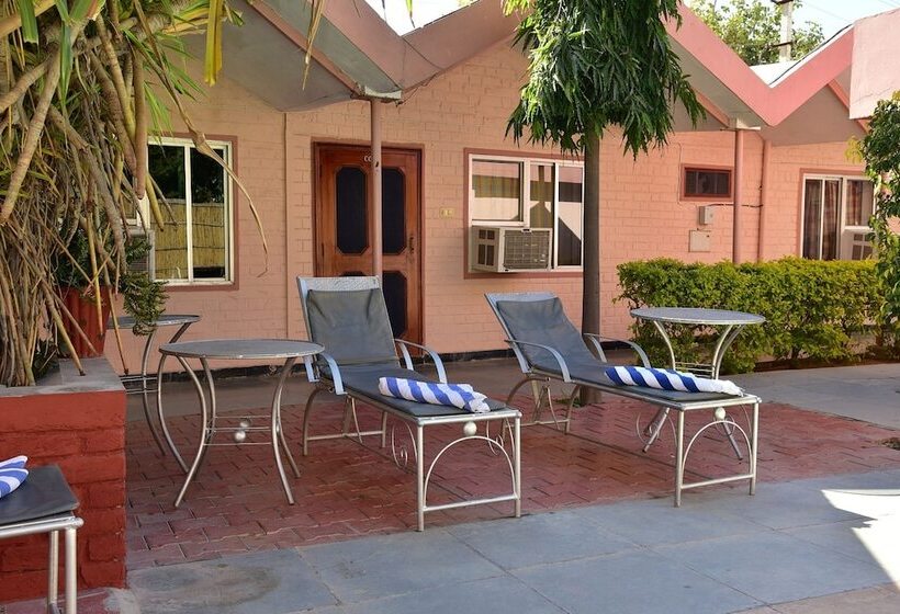 Hotel Master Paradise