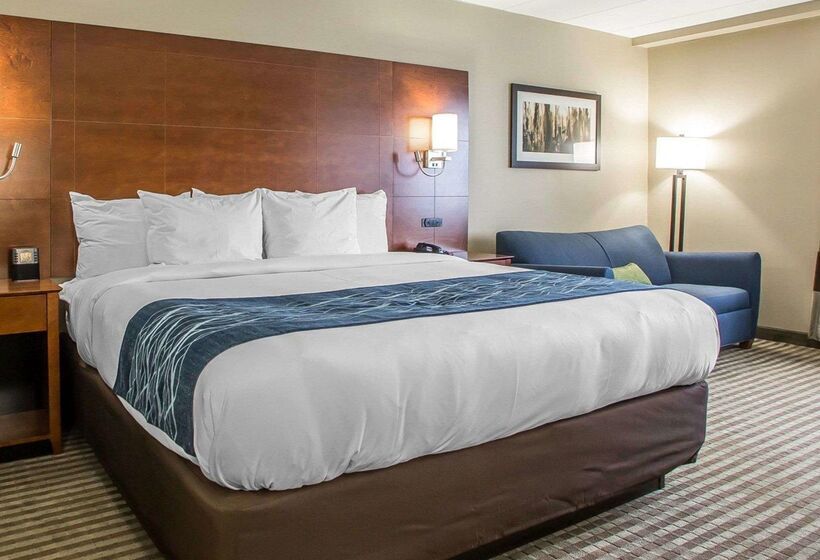 בית מלון כפרי Comfort Inn Hammond I94