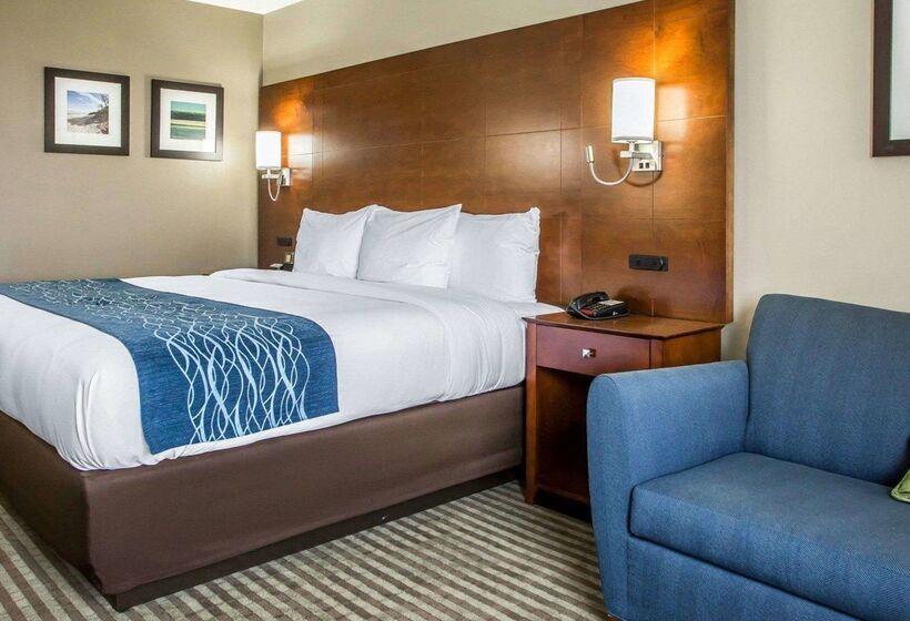 בית מלון כפרי Comfort Inn Hammond I94