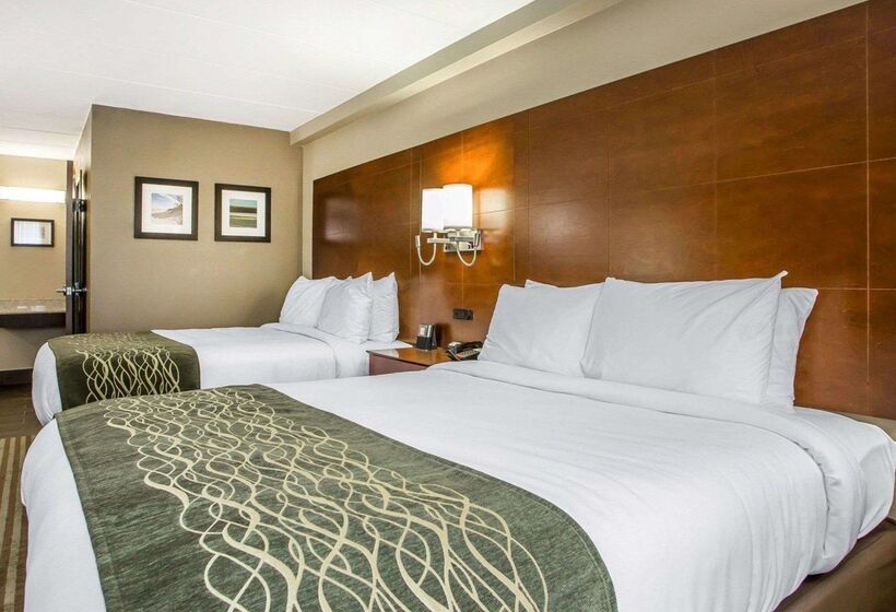 בית מלון כפרי Comfort Inn Hammond I94